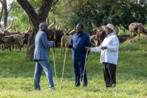 Kenyan President William Ruto, Ugandan President Yoweri Museveni, and ODM leader Raila Odinga engage in discussions in Uganda on Monday, February 26, 2024.