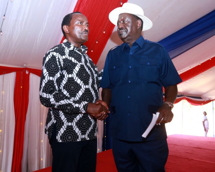 Wiper leader Kalonzo Musyoka and Azimio leader Raila Odinga pay their respects at the funeral of Wille Mulwa Muasya in Kitui County on February 11, 2024.