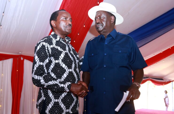 Wiper leader Kalonzo Musyoka and Azimio leader Raila Odinga pay their respects at the funeral of Wille Mulwa Muasya in Kitui County on February 11, 2024.