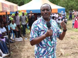 Kalonzo Alleges Kenya Kwanza's Conspiracy to Halt NADCO Report Implementation