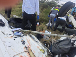 Two Planes Collide at Nairobi National Park, Two Dead, 44 Escape Unhurt